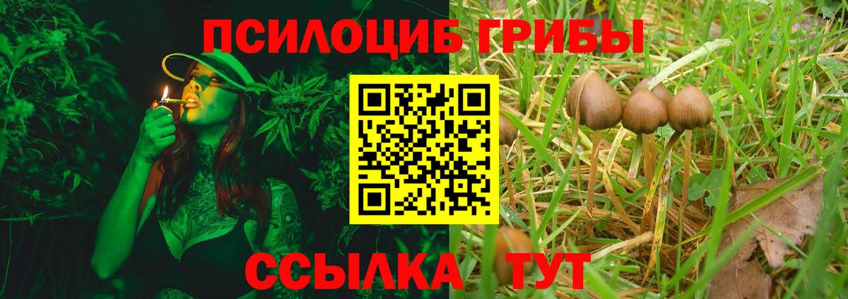 Псилоцибиновые грибы мухоморы Ялта
